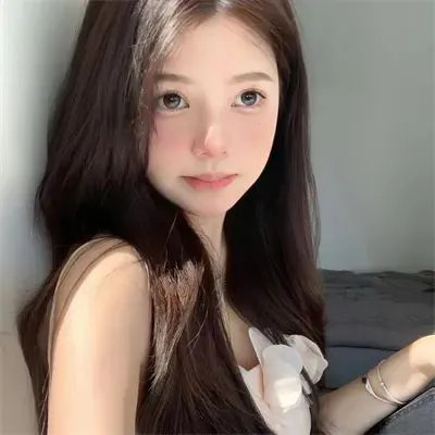 野探哈莉第四季 封面